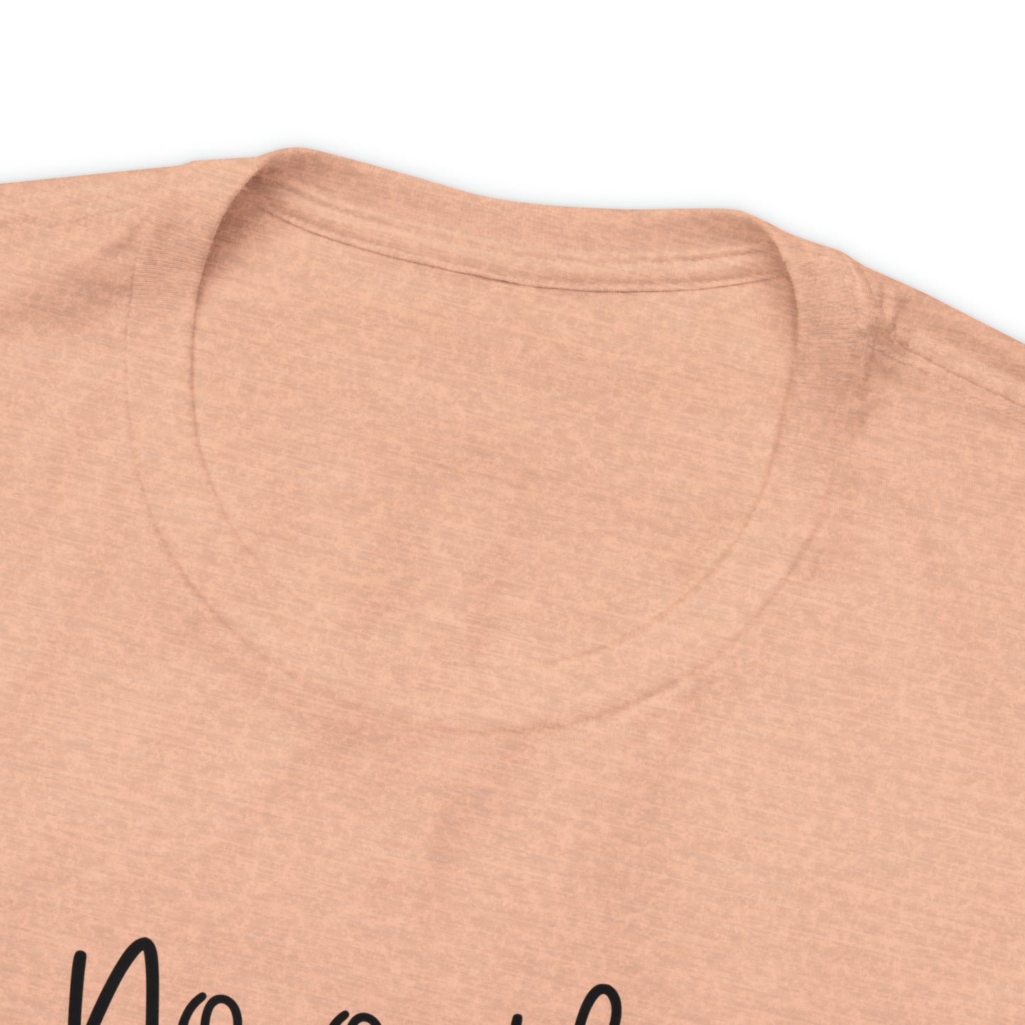 No Outfit is Complete Without Cat Hair Short Sleeve T-shirt