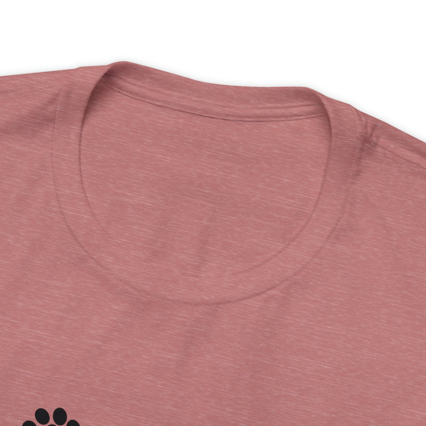 A House Without a Dog is Not a Home Short Sleeve T-shirt