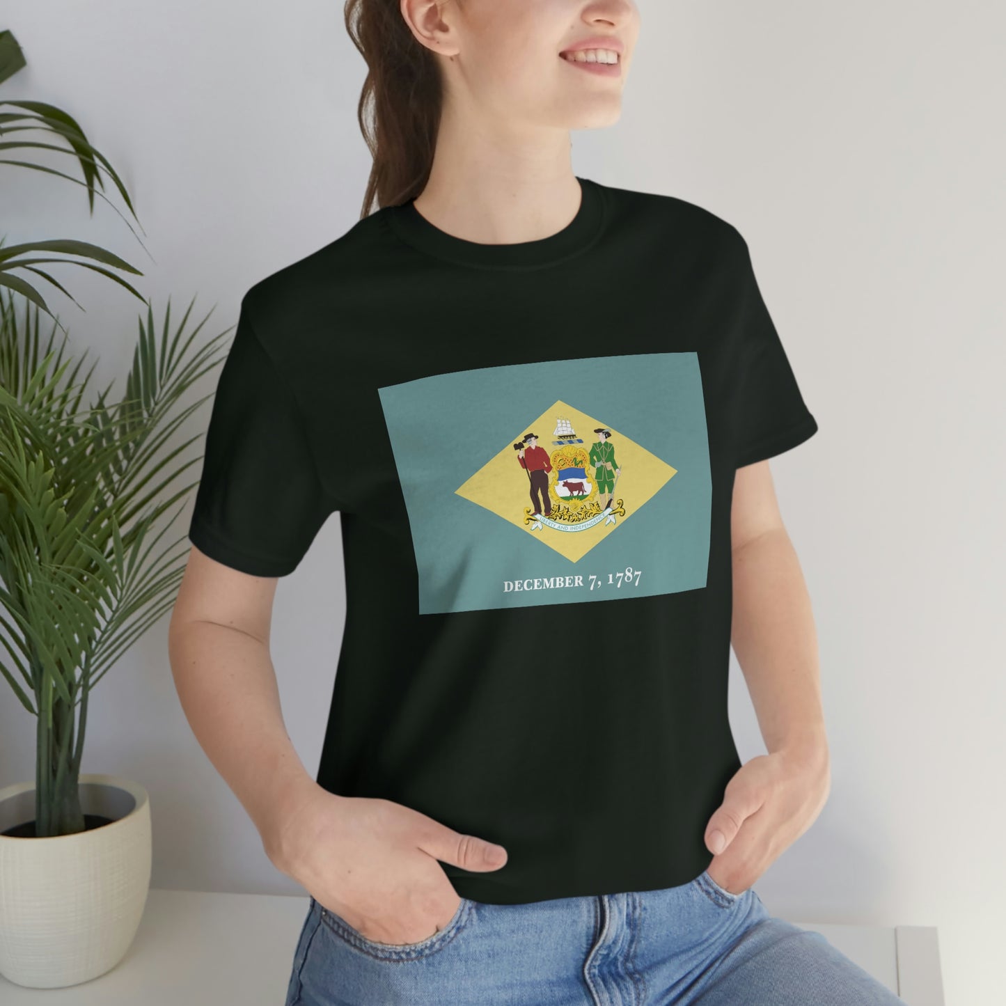 Delaware Flag Unisex Jersey Short Sleeve Tee Tshirt T-shirt