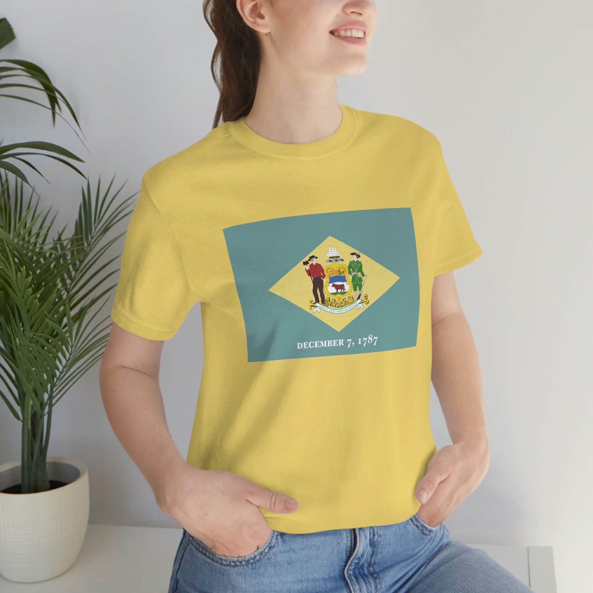Delaware Flag Unisex Jersey Short Sleeve Tee Tshirt T-shirt