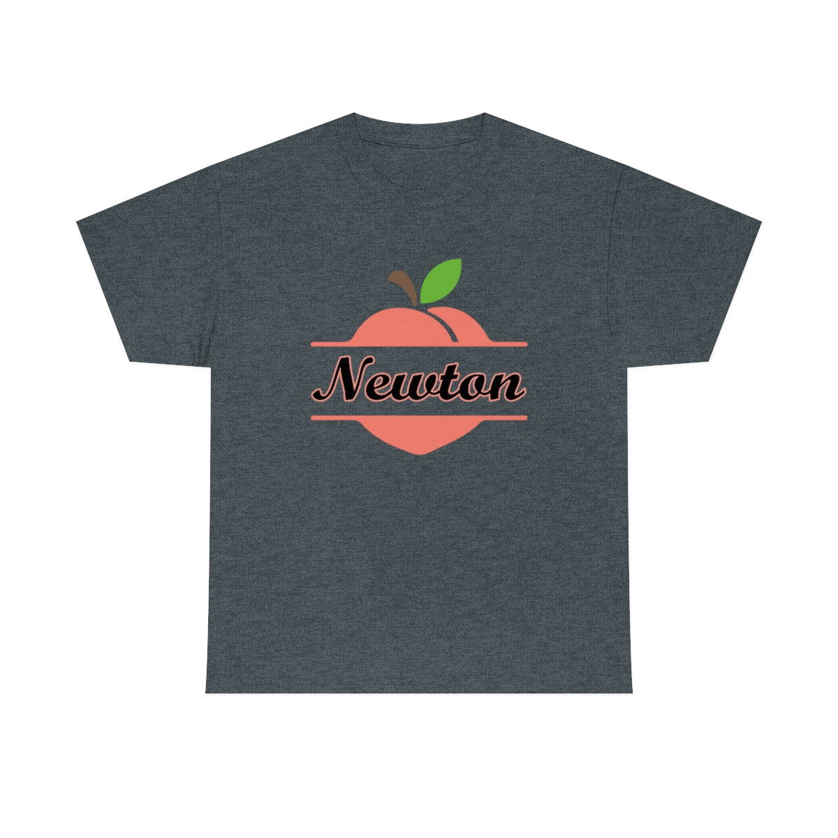 Newton Georgia Unisex Heavy Cotton Tee