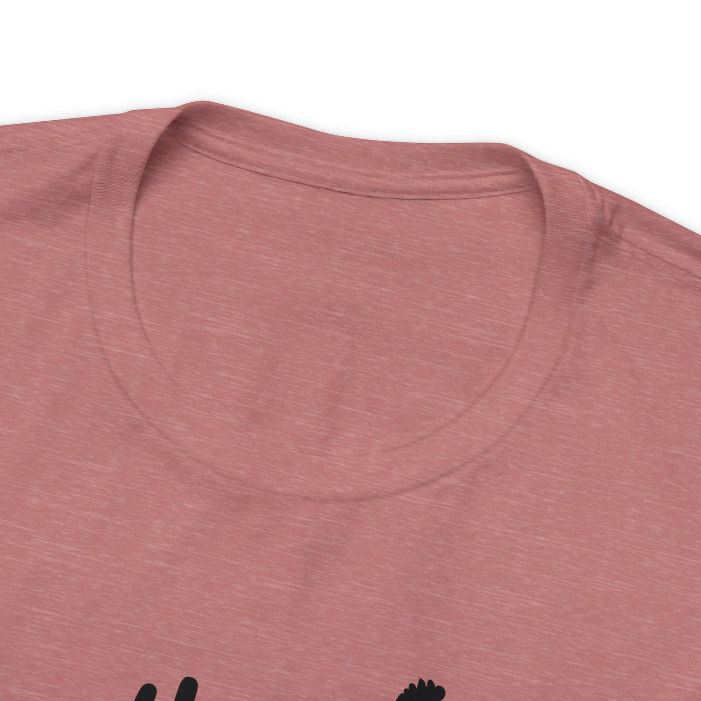 The Chicken Whisperer Short Sleeve T-shirt