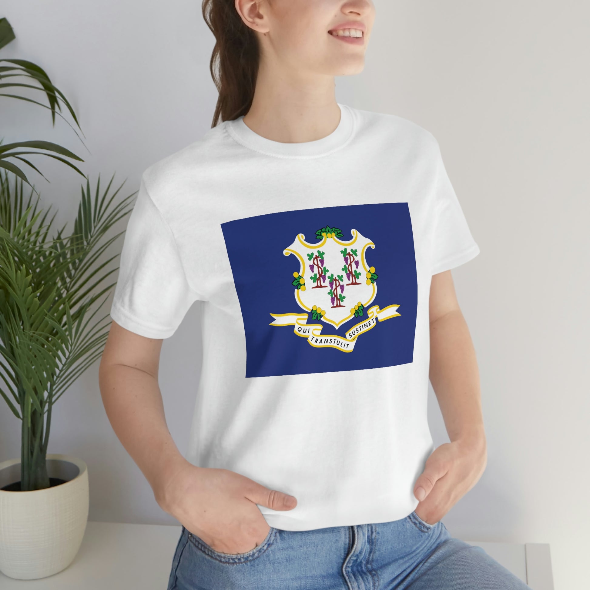 Connecticut Flag Unisex Jersey Short Sleeve Tee Tshirt T-shirt