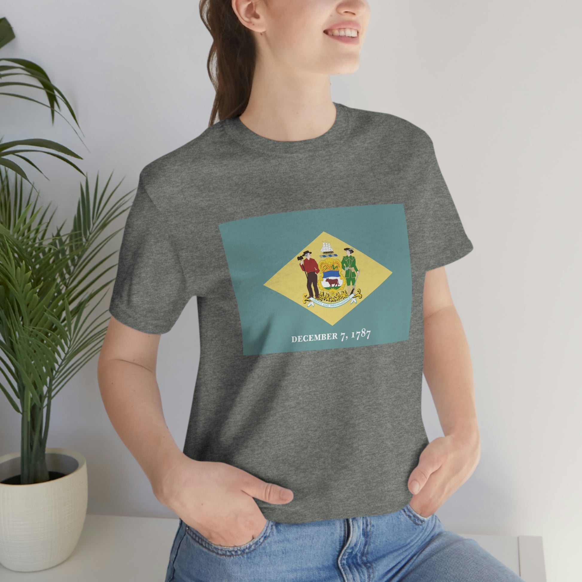 Delaware Flag Unisex Jersey Short Sleeve Tee Tshirt T-shirt