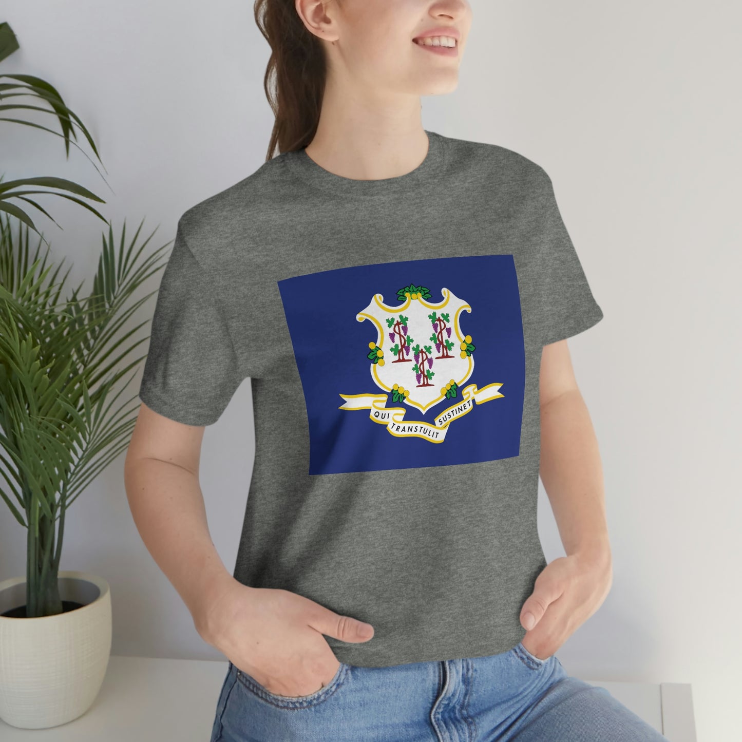 Connecticut Flag Unisex Jersey Short Sleeve Tee Tshirt T-shirt