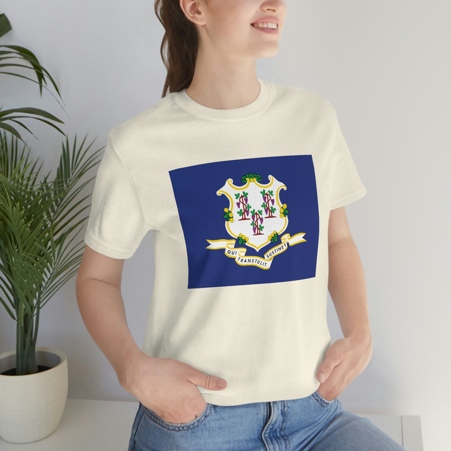 Connecticut Flag Unisex Jersey Short Sleeve Tee Tshirt T-shirt