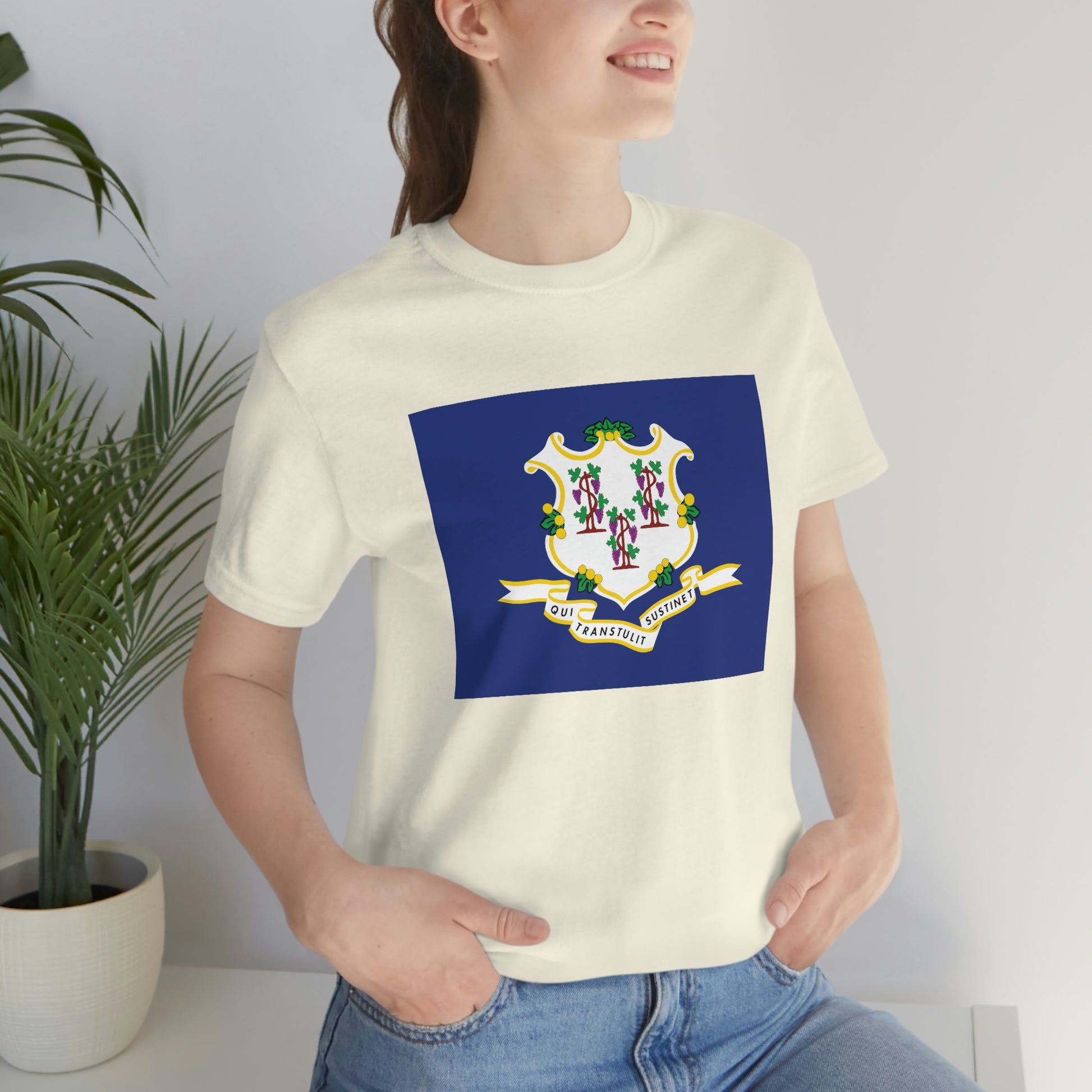 Connecticut Flag Unisex Jersey Short Sleeve Tee Tshirt T-shirt
