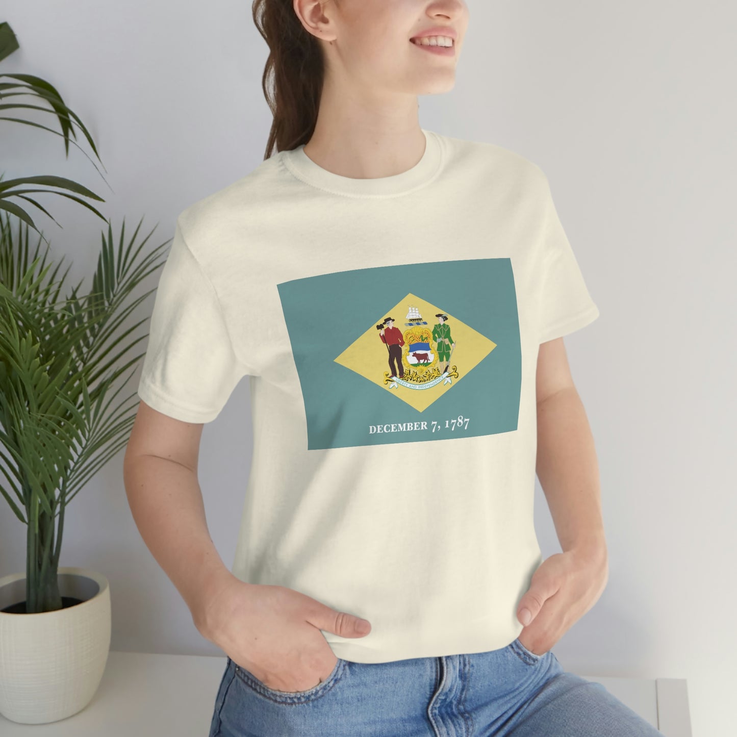 Delaware Flag Unisex Jersey Short Sleeve Tee Tshirt T-shirt