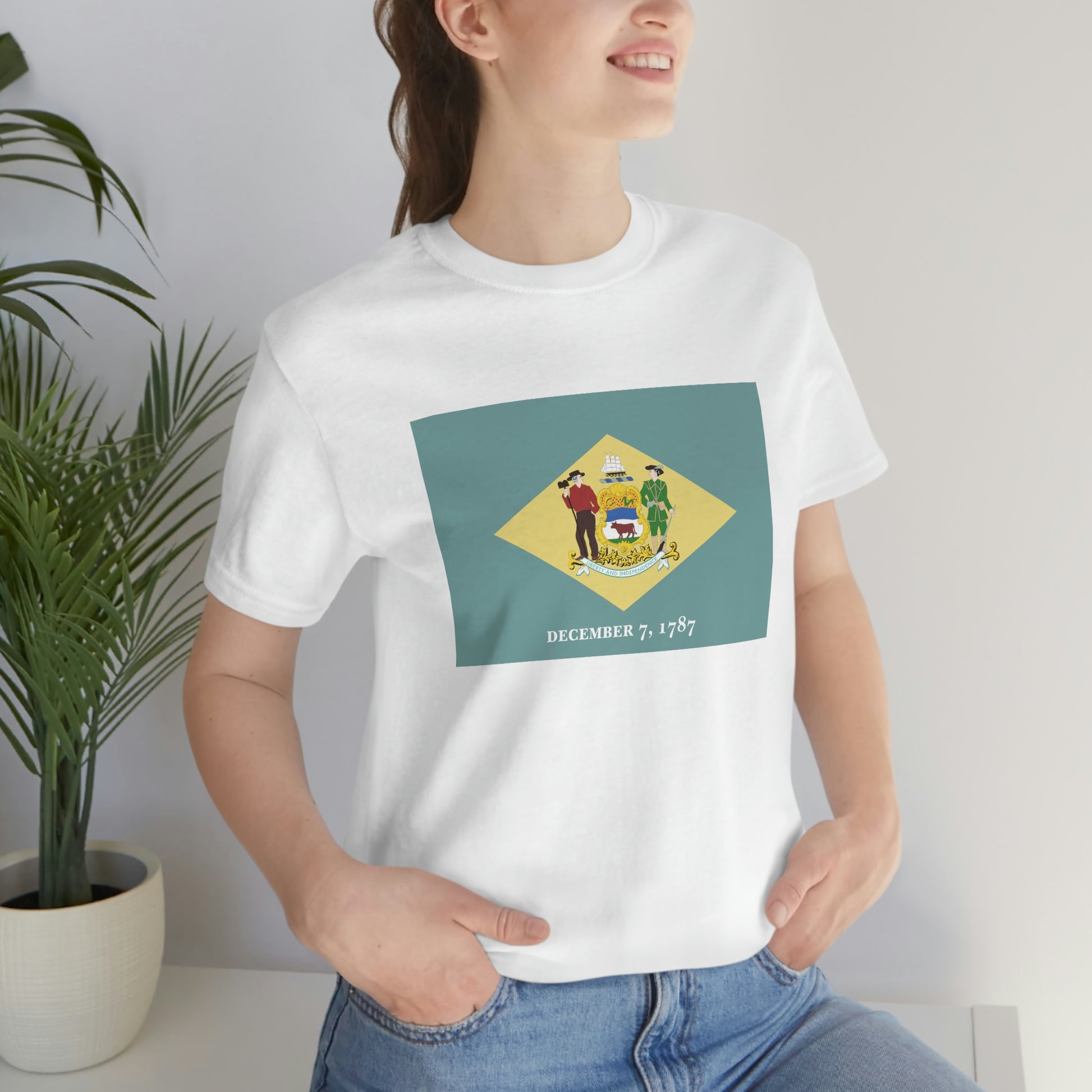 Delaware Flag Unisex Jersey Short Sleeve Tee Tshirt T-shirt