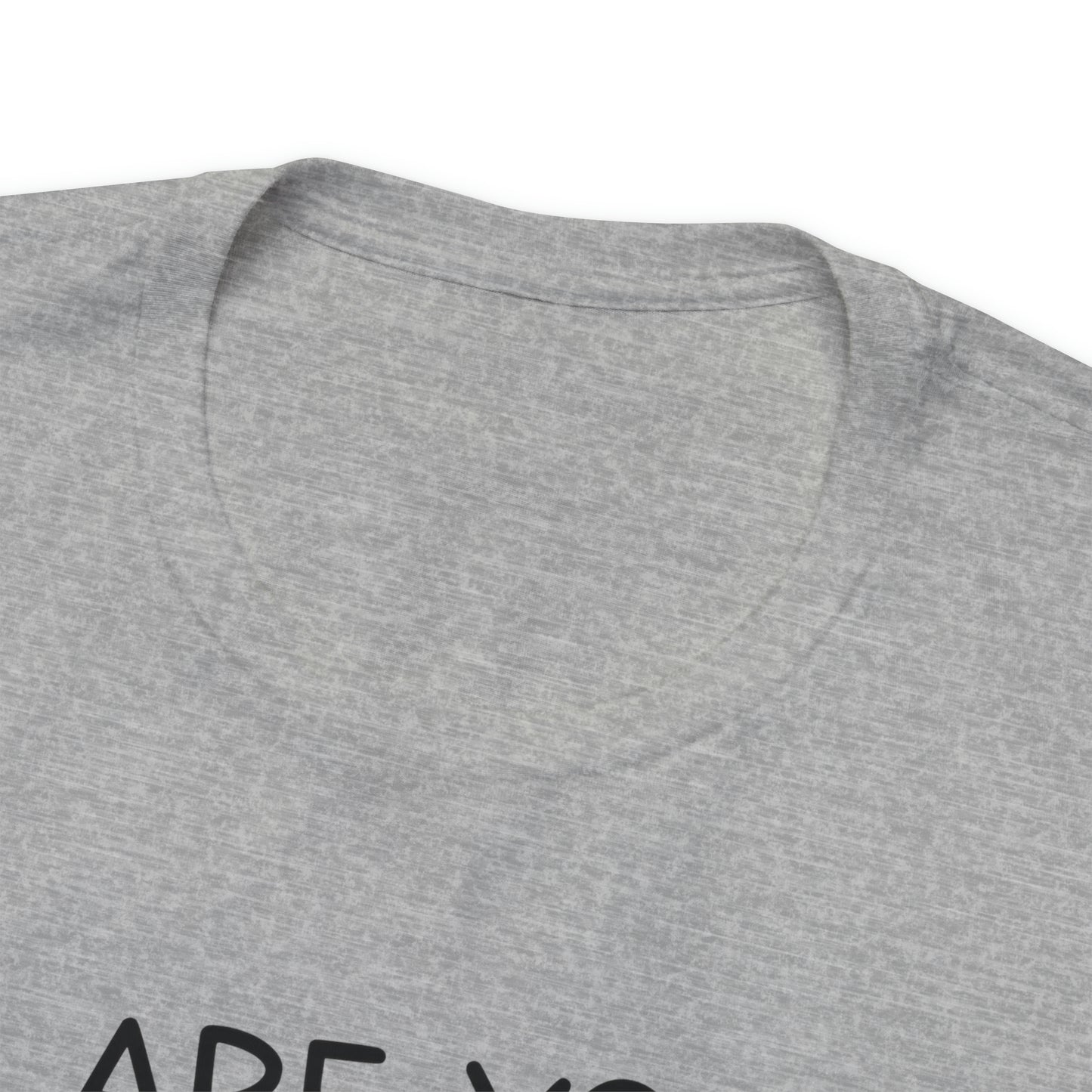 Are You Kitten Me Right Meow Short Sleeve T-shirt