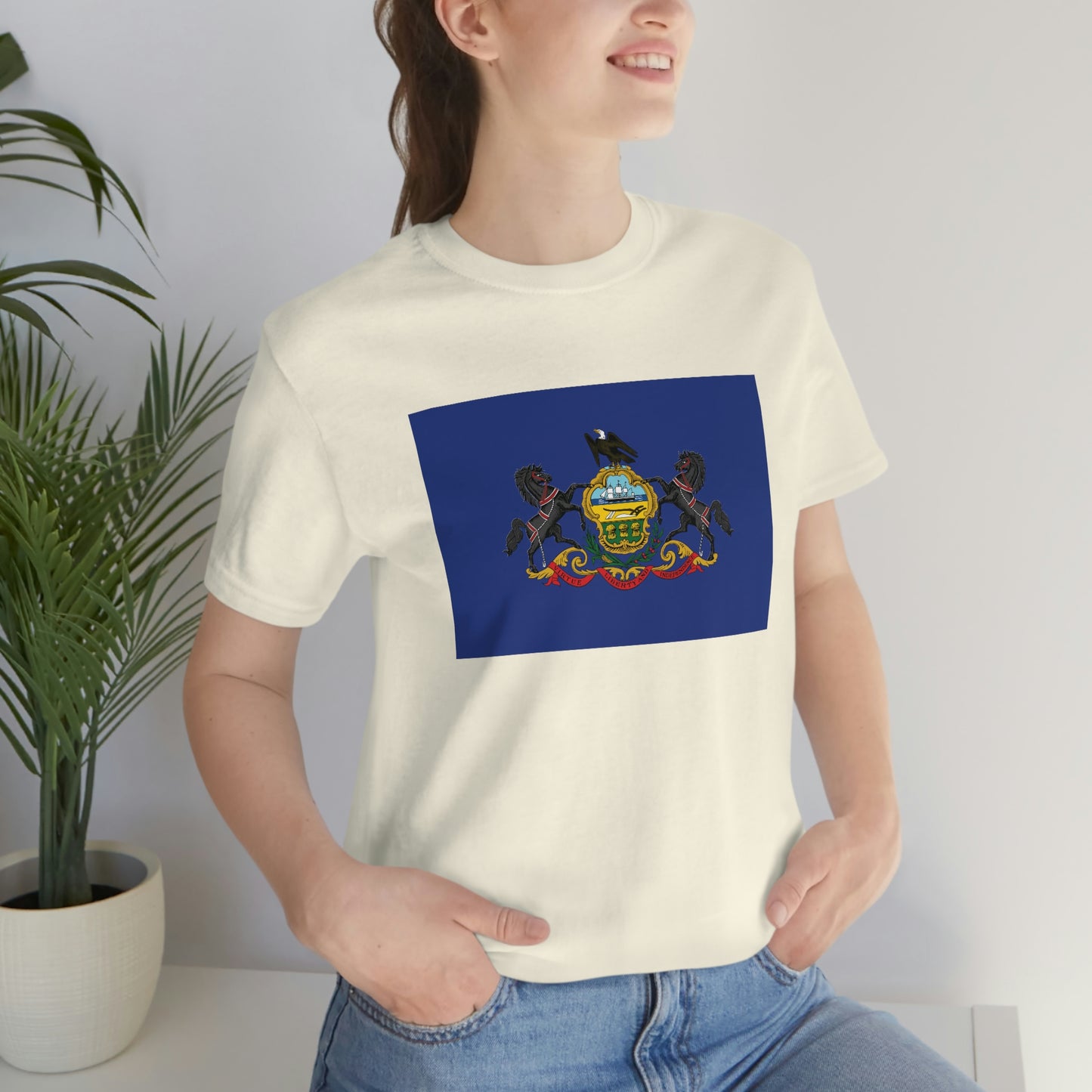 Pennsylvania Flag Unisex Jersey Short Sleeve Tee Tshirt T-shirt