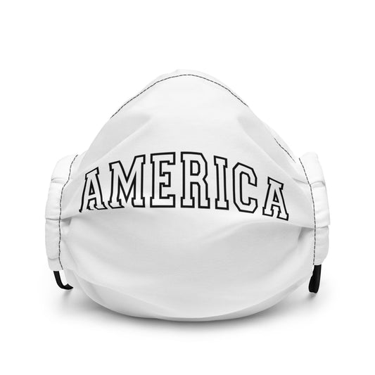 America Varsity LettersPremium face mask