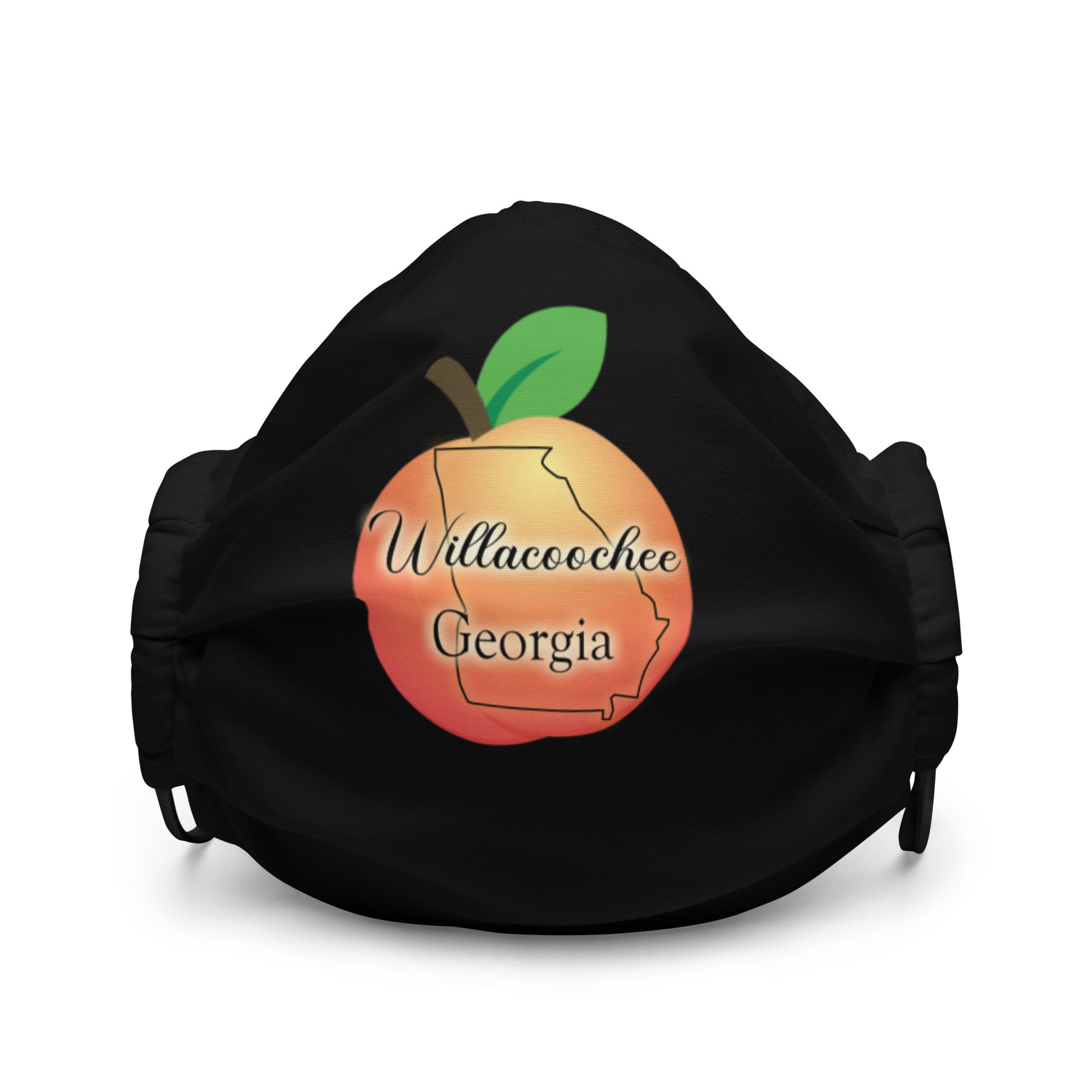 Willacoochee Georgia Premium face mask