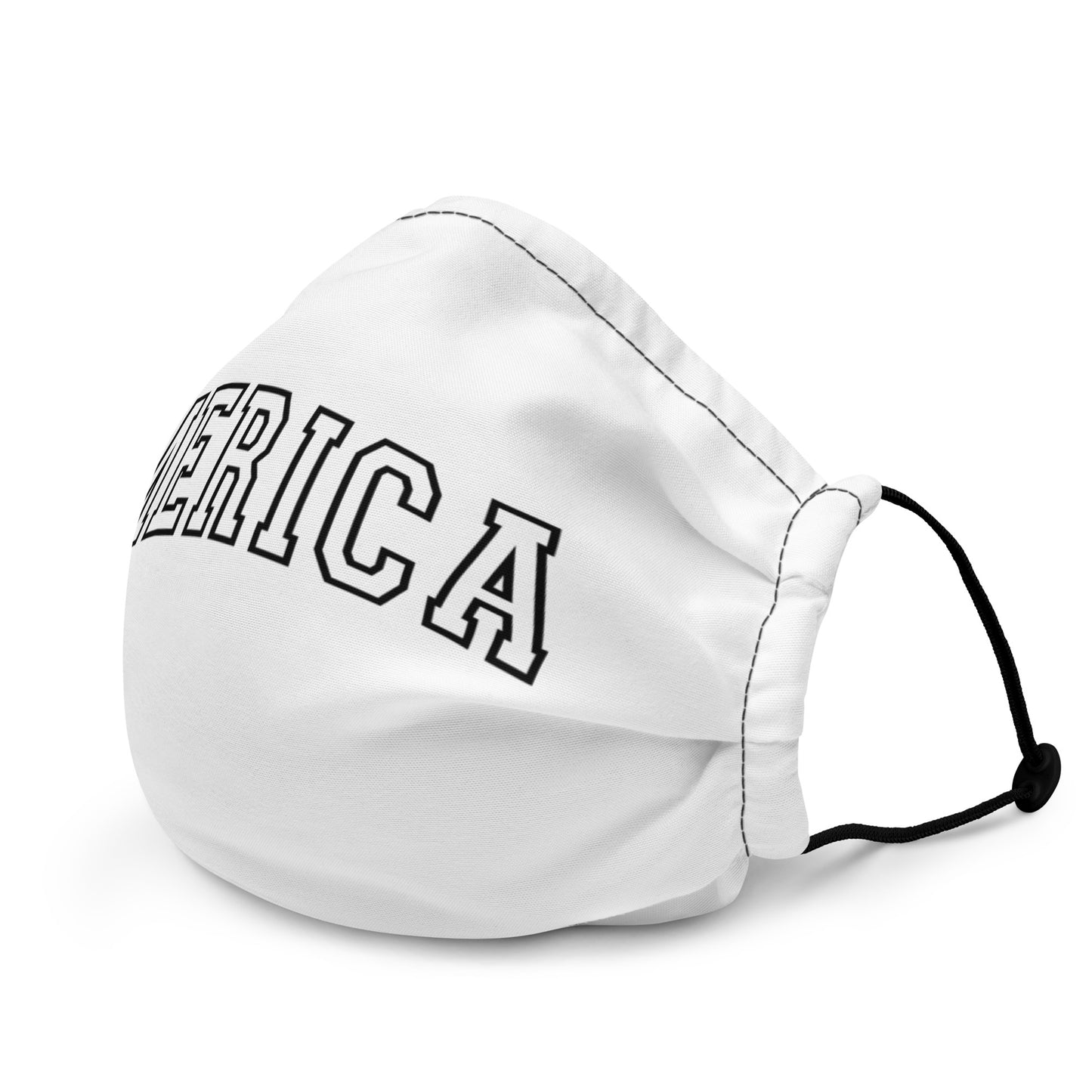 America Varsity LettersPremium face mask
