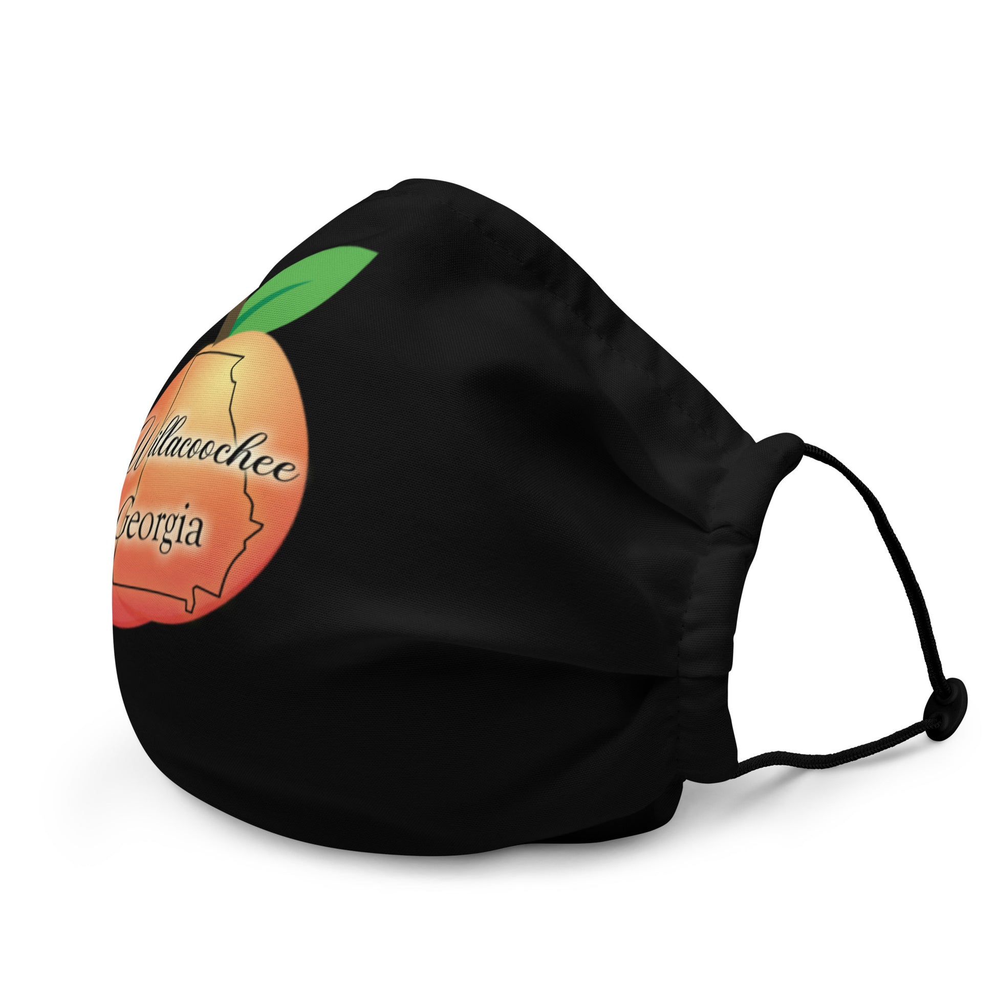 Willacoochee Georgia Premium face mask