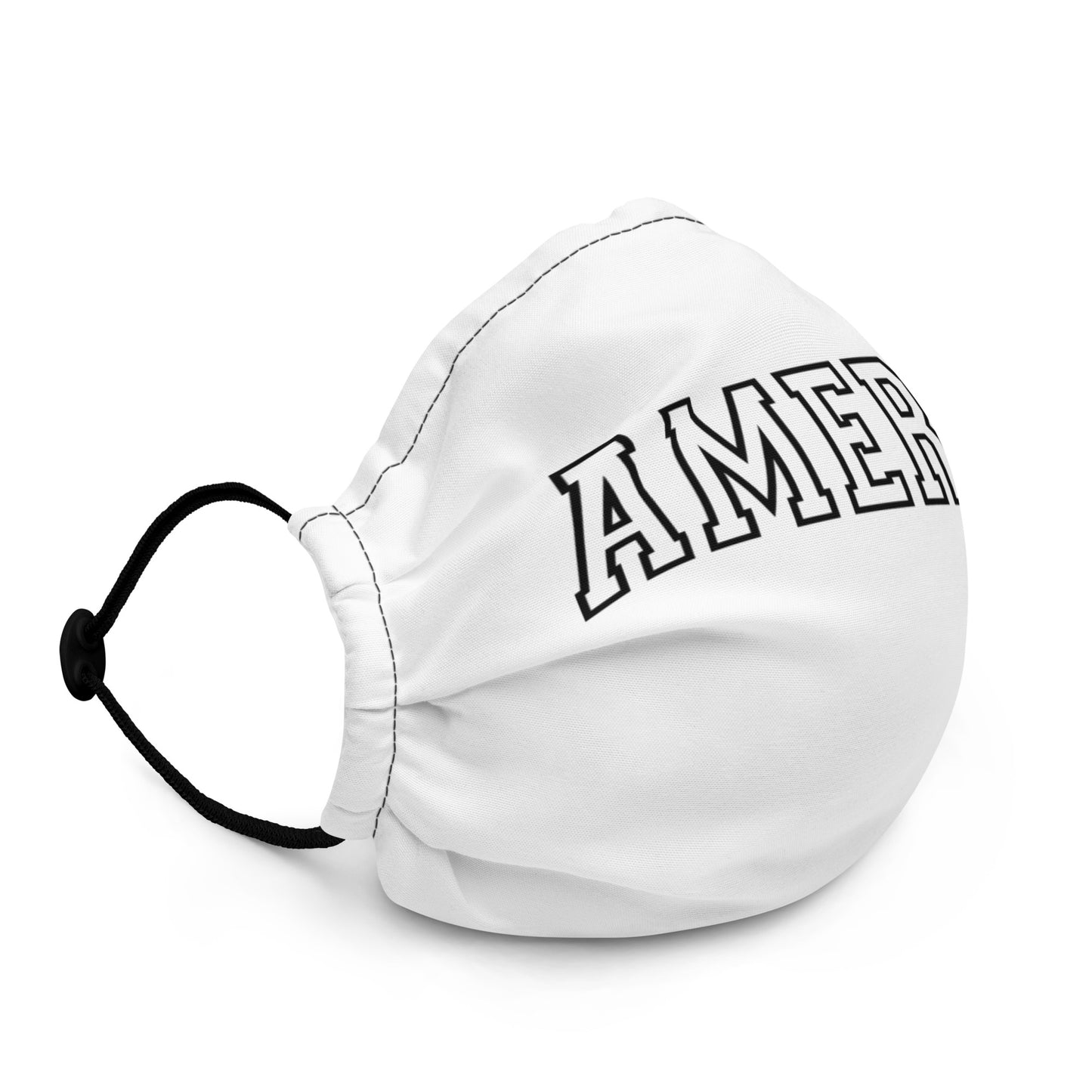 America Varsity LettersPremium face mask