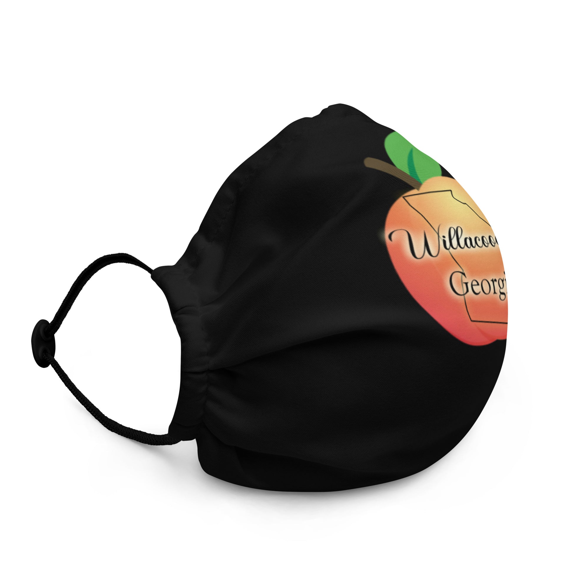 Willacoochee Georgia Premium face mask
