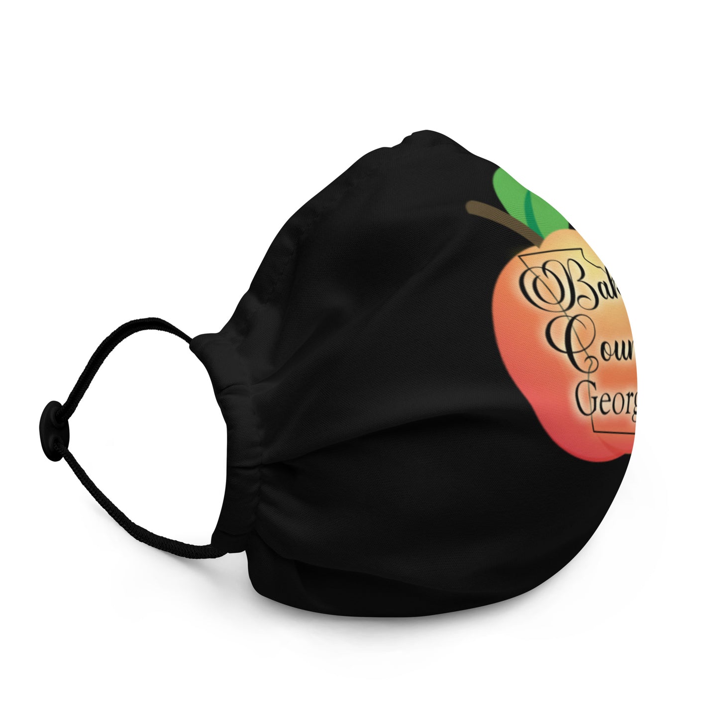 Baker County Georgia Premium face mask