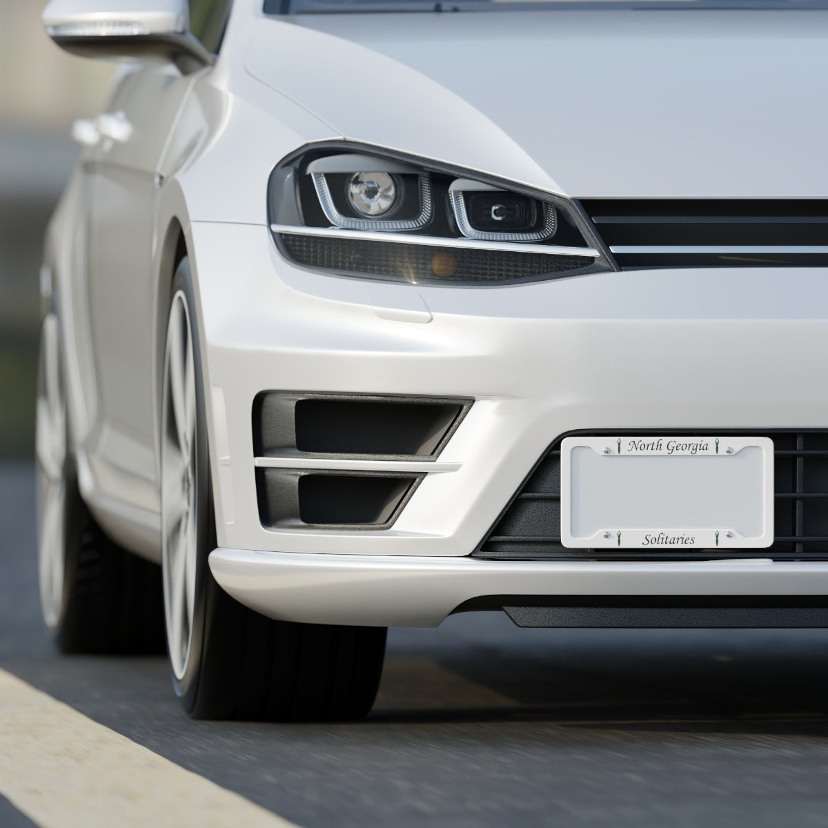 North Georgia Solitaries License Plate Frame