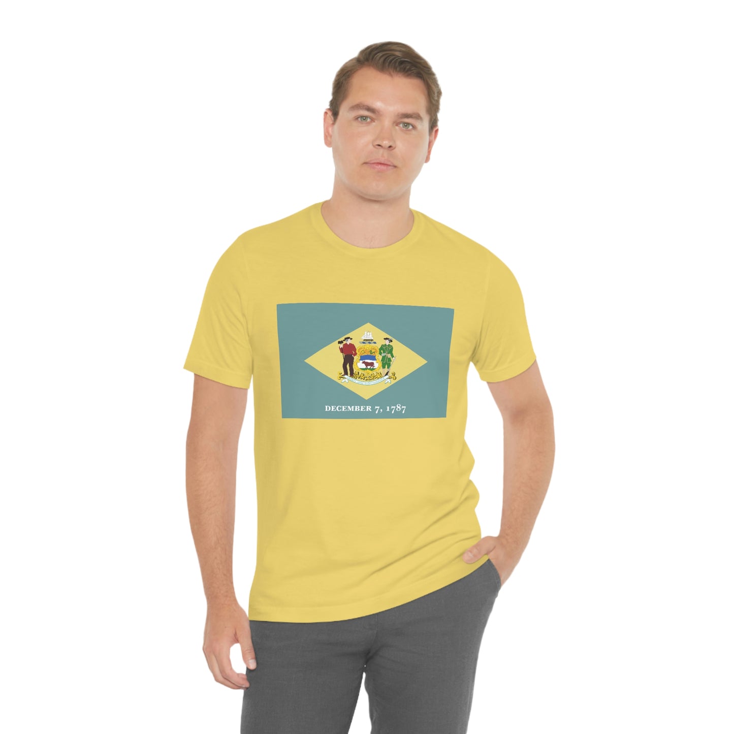 Delaware Flag Unisex Jersey Short Sleeve Tee Tshirt T-shirt