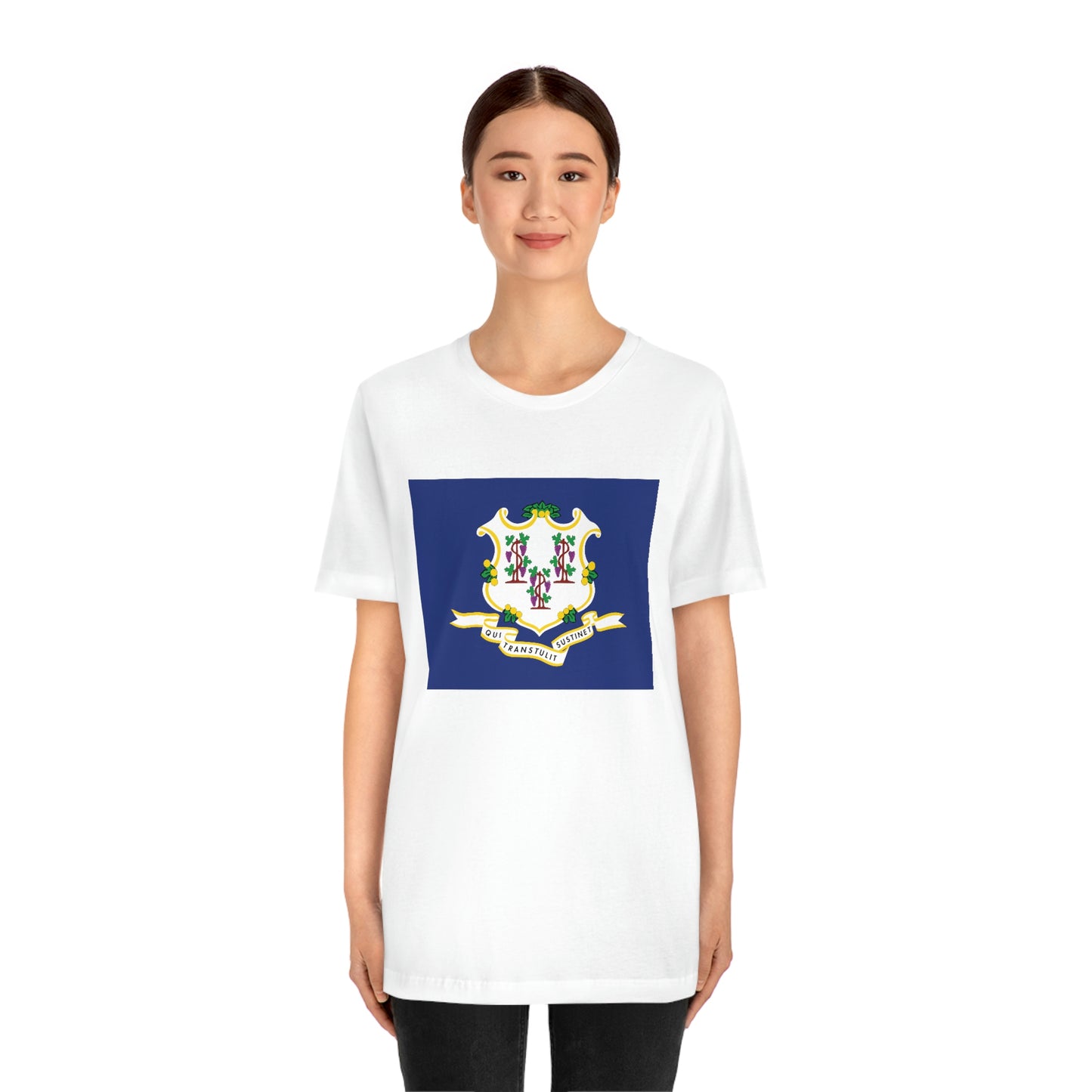 Connecticut Flag Unisex Jersey Short Sleeve Tee Tshirt T-shirt