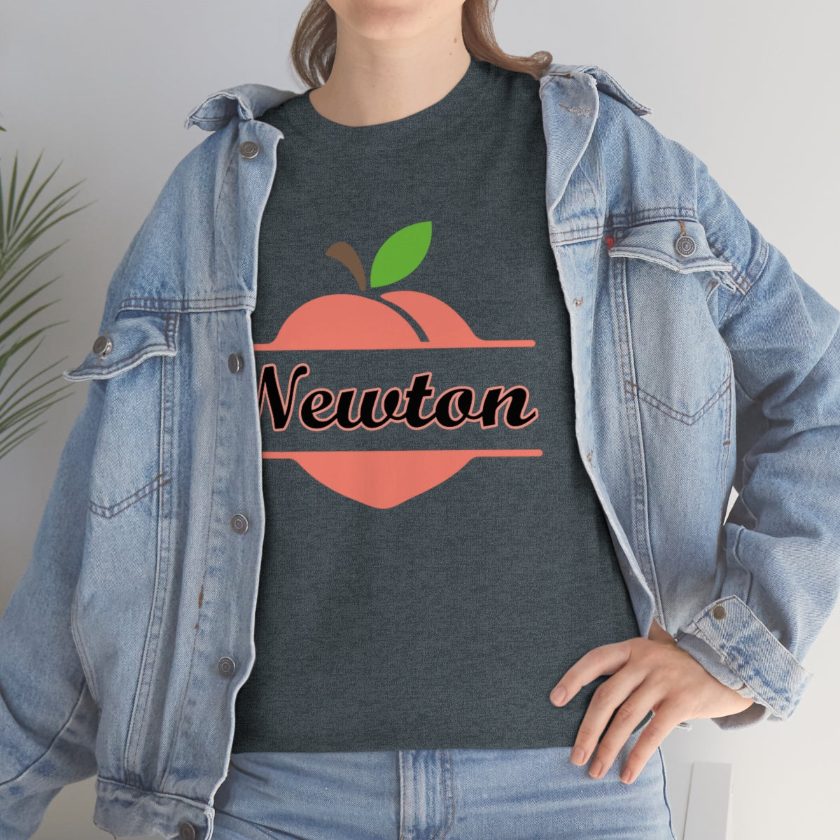 Newton Georgia Unisex Heavy Cotton Tee