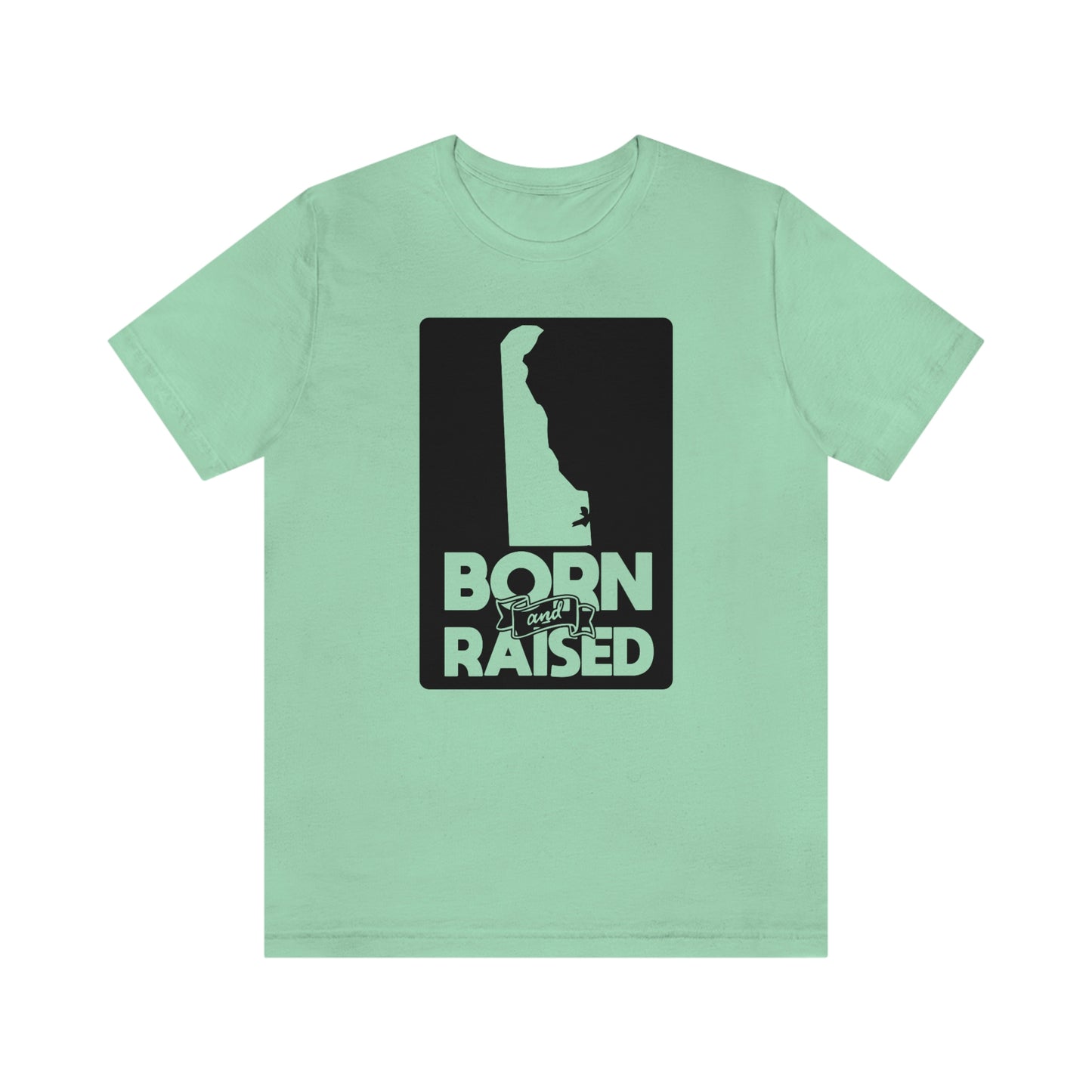 Delaware Born and Raised Short Sleeve T-shirt