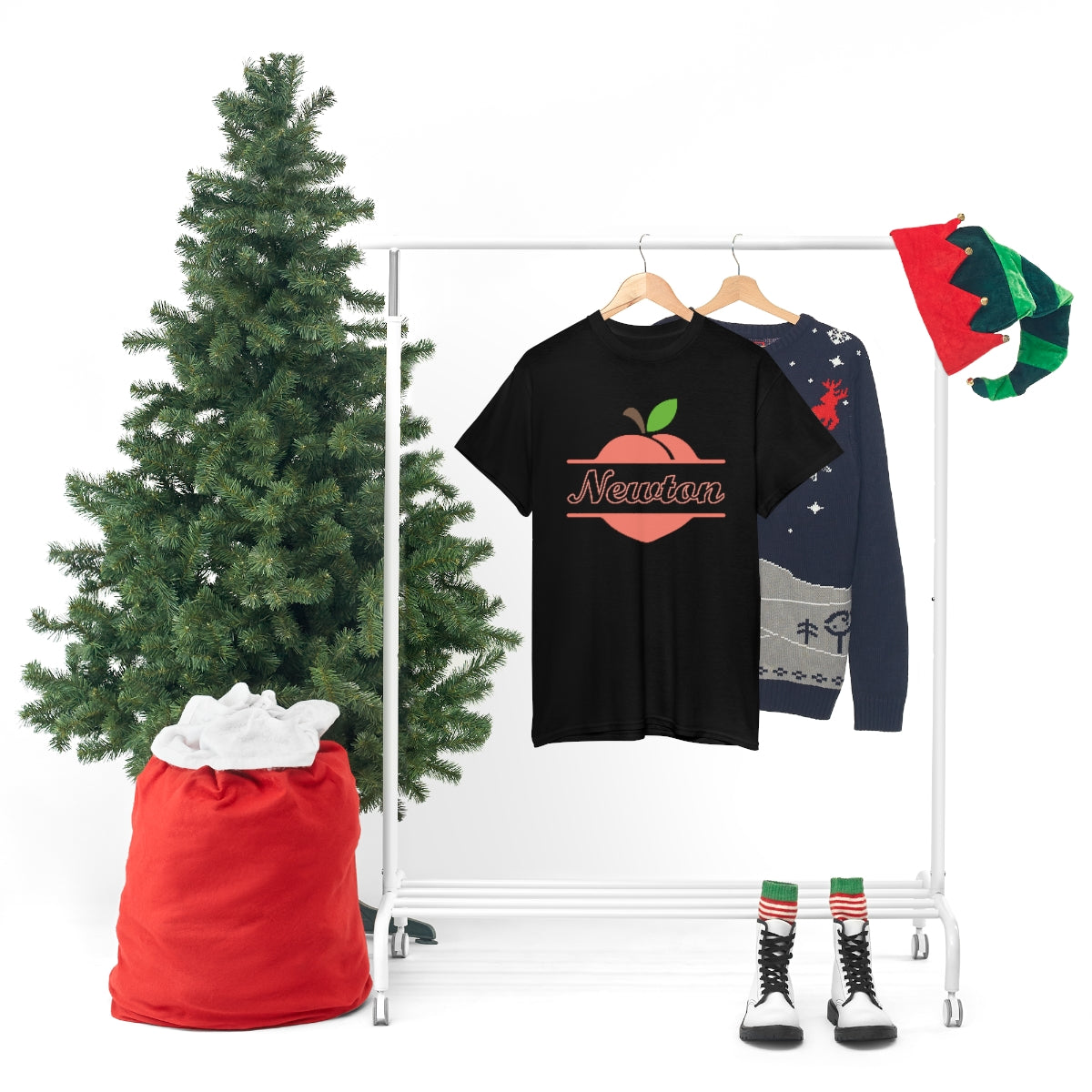 Newton Georgia Unisex Heavy Cotton Tee