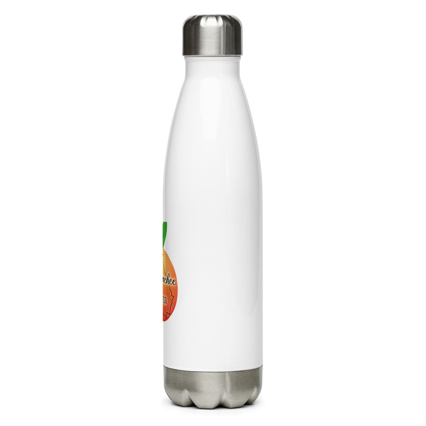 Willacoochee Georgia Stainless Steel Water Bottle