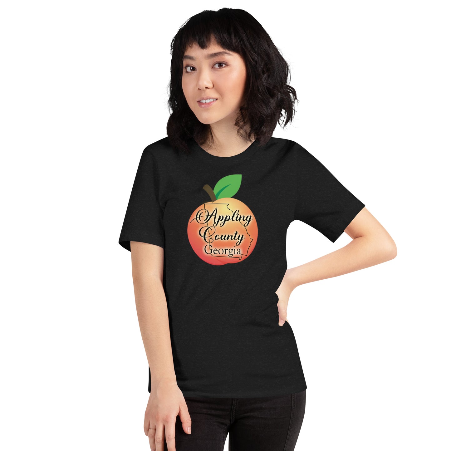 Appling County Georgia Unisex t-shirt