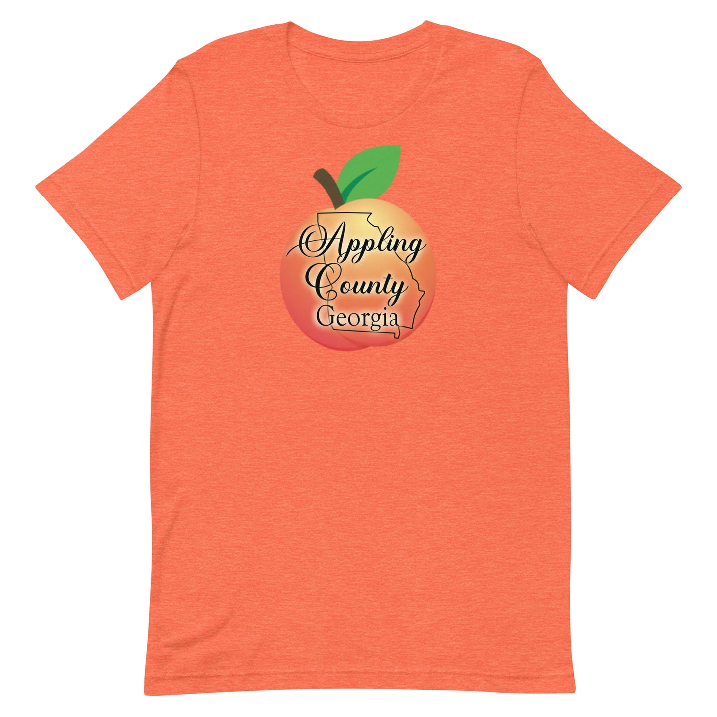 Appling County Georgia Unisex t-shirt