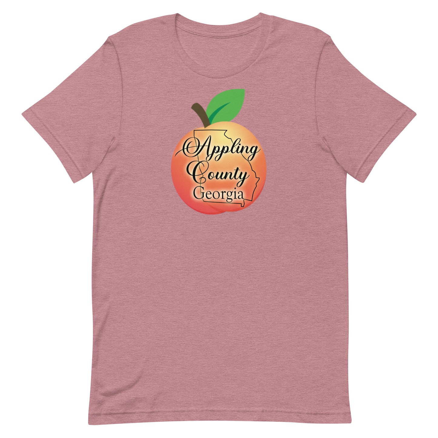 Appling County Georgia Unisex t-shirt