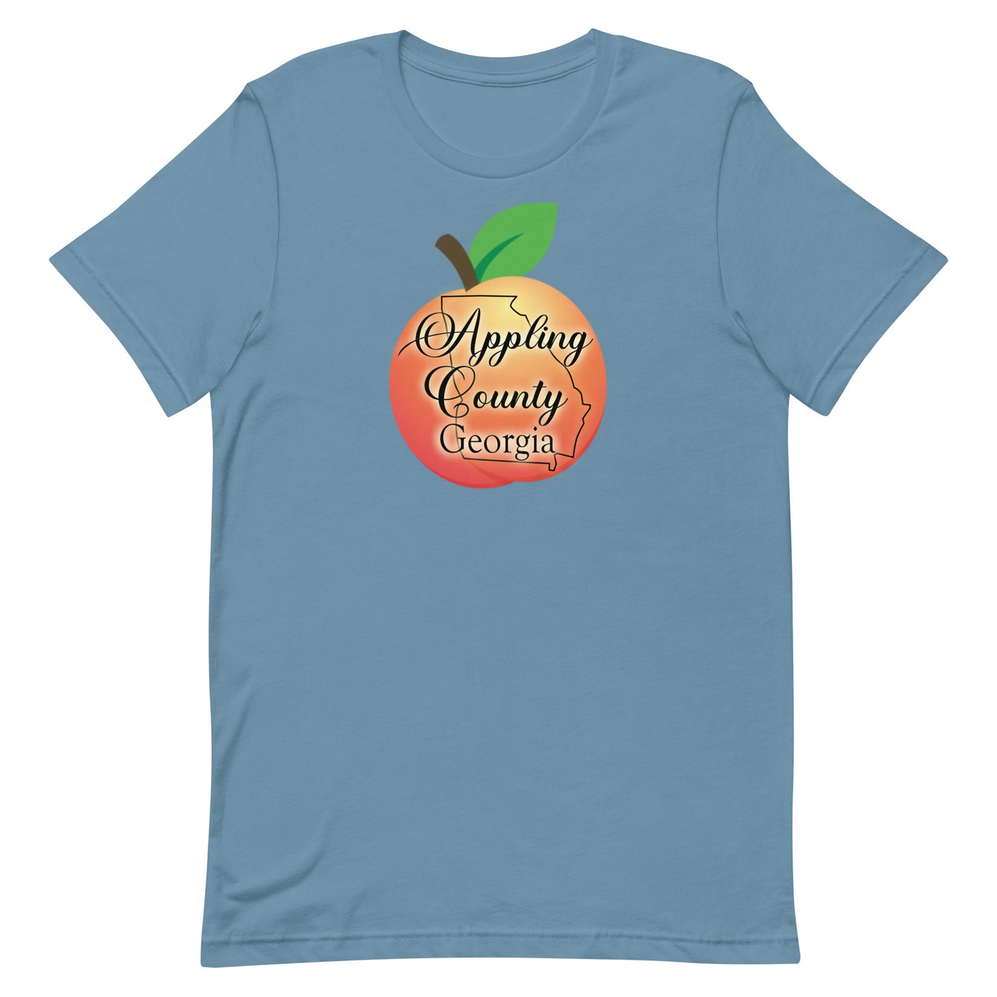 Appling County Georgia Unisex t-shirt