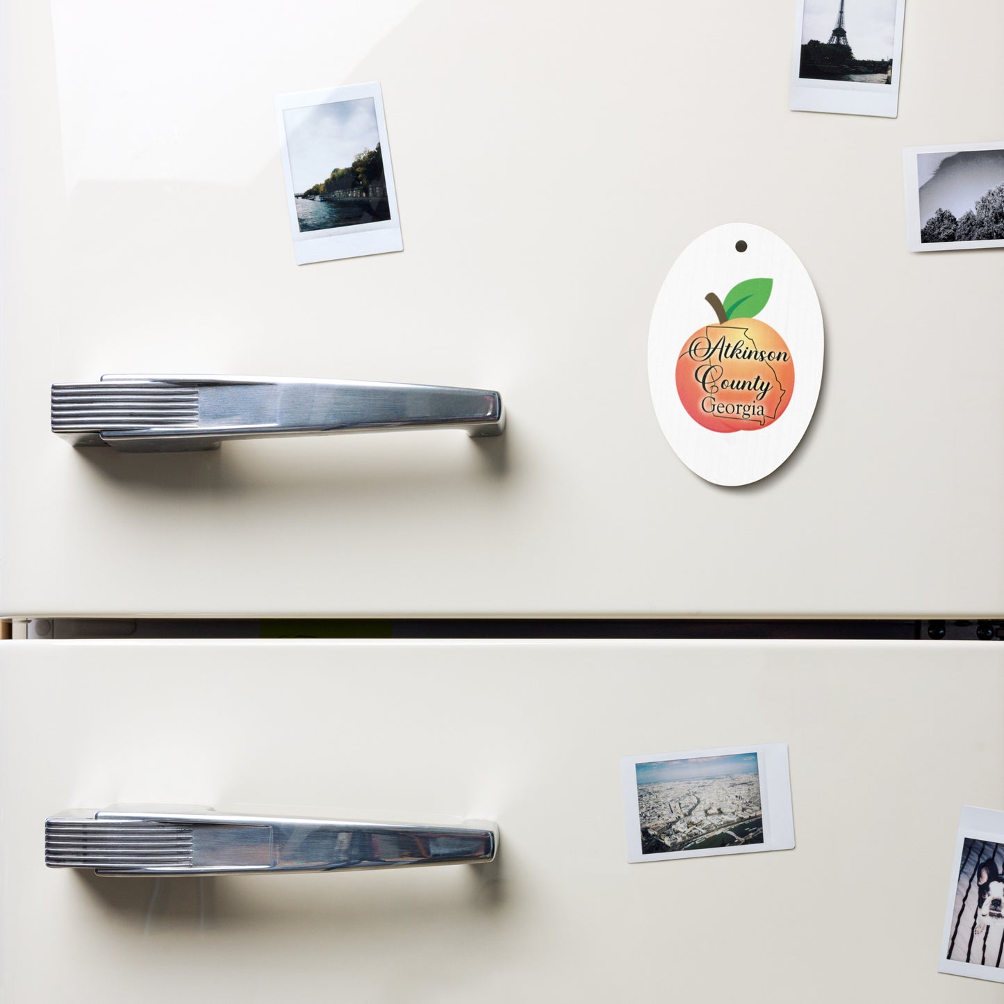 Atkinson County Georgia Wooden ornaments