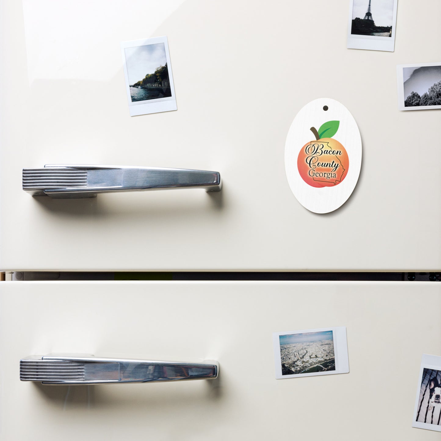 Bacon County Georgia Wooden ornaments