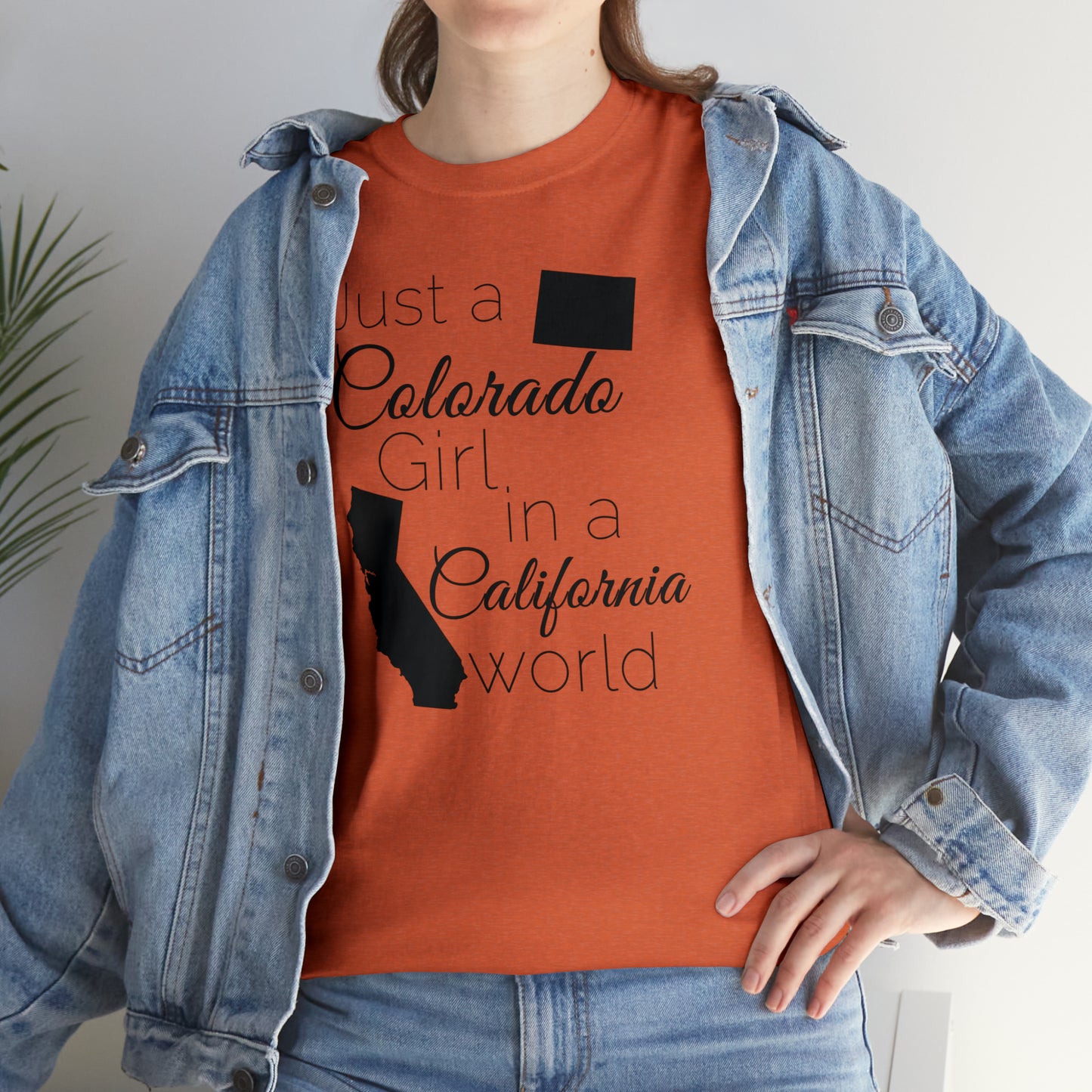 Just a Colorado Girl in a California World Unisex Heavy Cotton Tee