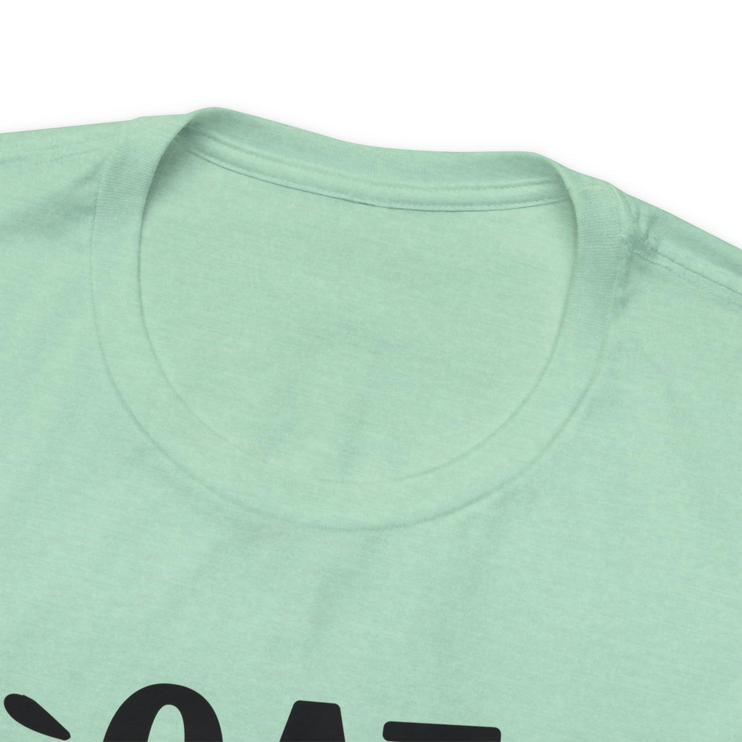 Cat Hair is my Glitter Short Sleeve T-shirt