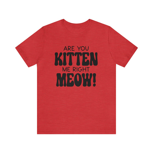 Are You Kitten Me Right Meow Short Sleeve T-shirt