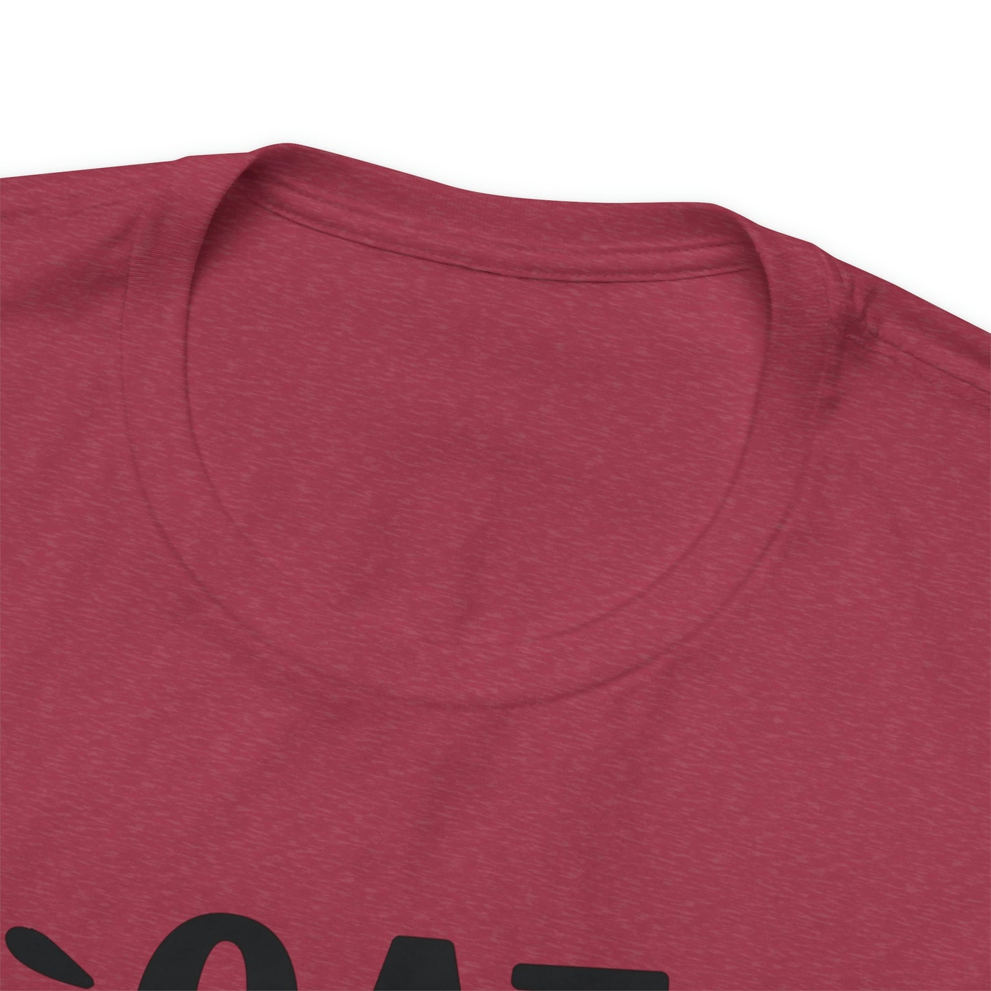 Cat Hair is my Glitter Short Sleeve T-shirt