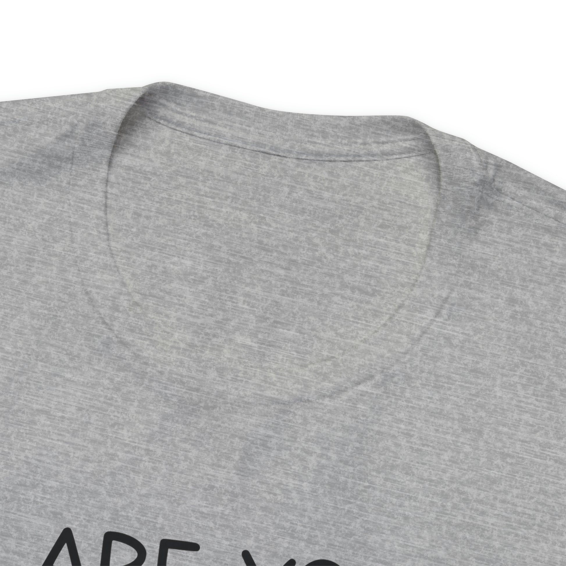 Are You Kitten Me Right Meow Short Sleeve T-shirt
