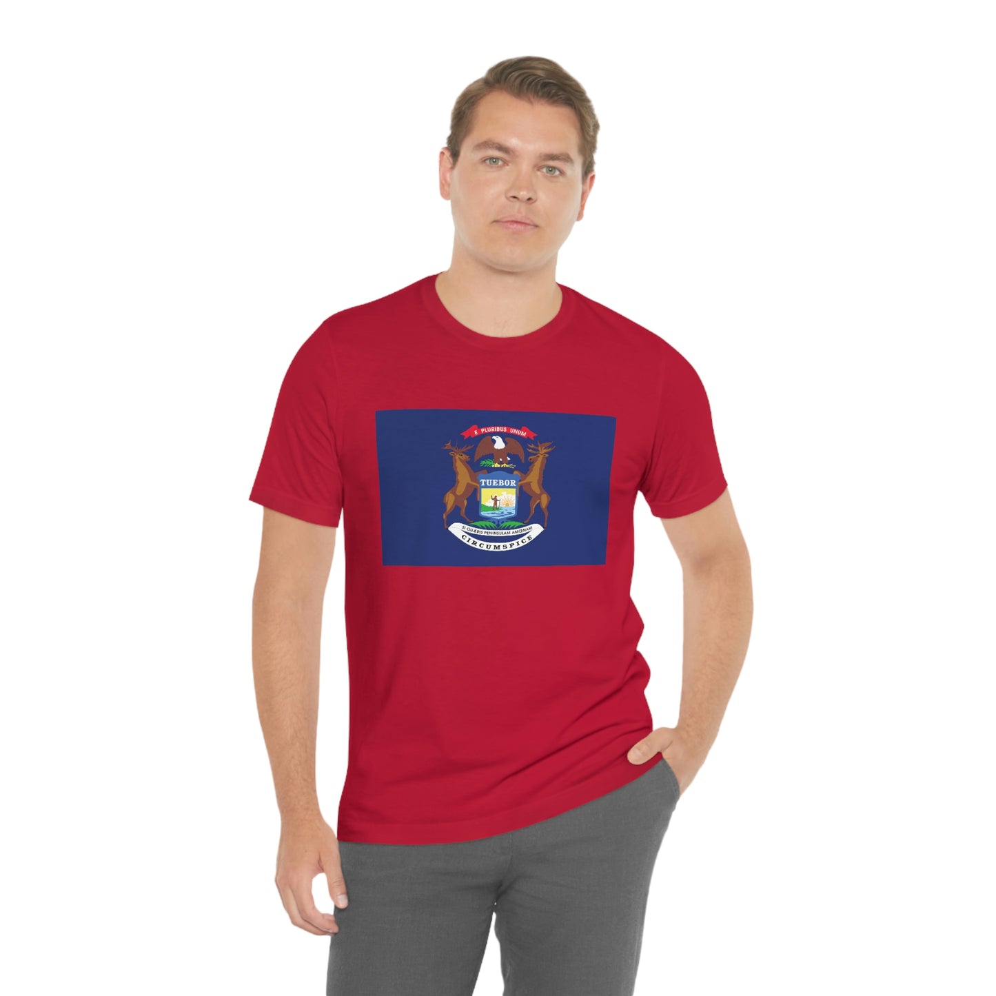 Michigan Flag Unisex Jersey Short Sleeve Tee Tshirt T-shirt