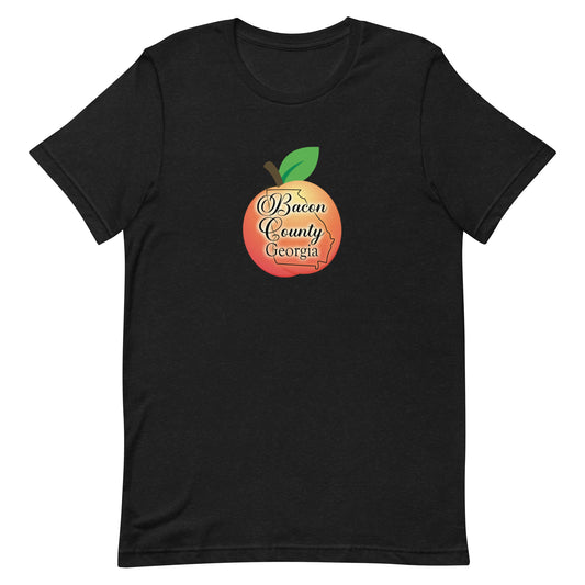 Bacon County Georgia Unisex t-shirt