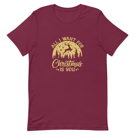 All I Want For Christmas is You Unisex Tshirt